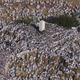 Image for article titled The Hajj’s massive scale, seen from the air